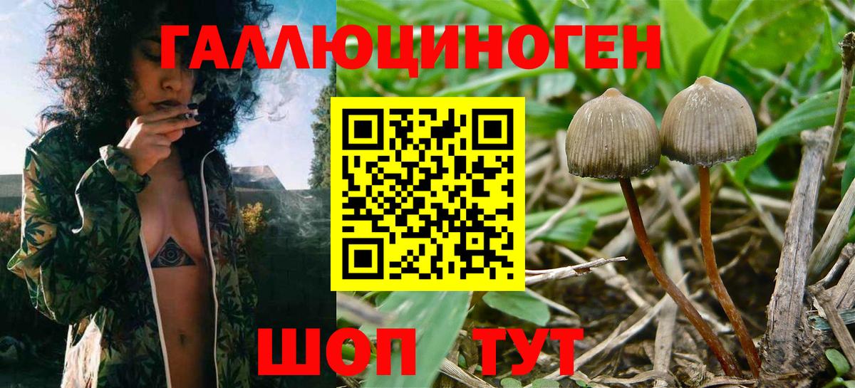 Галлюциногенные грибы прущие грибы Бузулук
