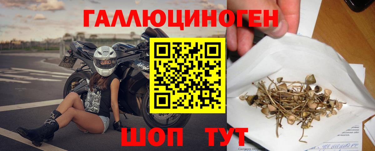 Галлюциногенные грибы мухоморы  Вход с VPN  Бузулук  что такое   Псилоцибиновые грибы Psilocybe 